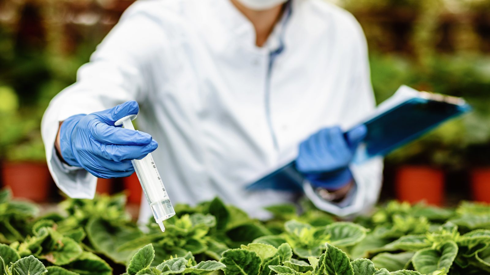 Scientist analyzing soil samples in a laboratory